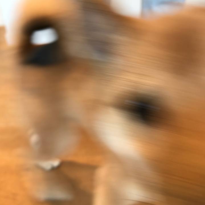 D8f834f4 5622 46c9 be9e f535dbdbbfcf