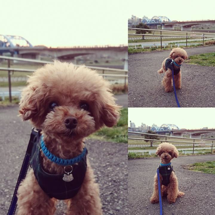 D8f8d4c0 c384 4642 a638 4108706bfc47