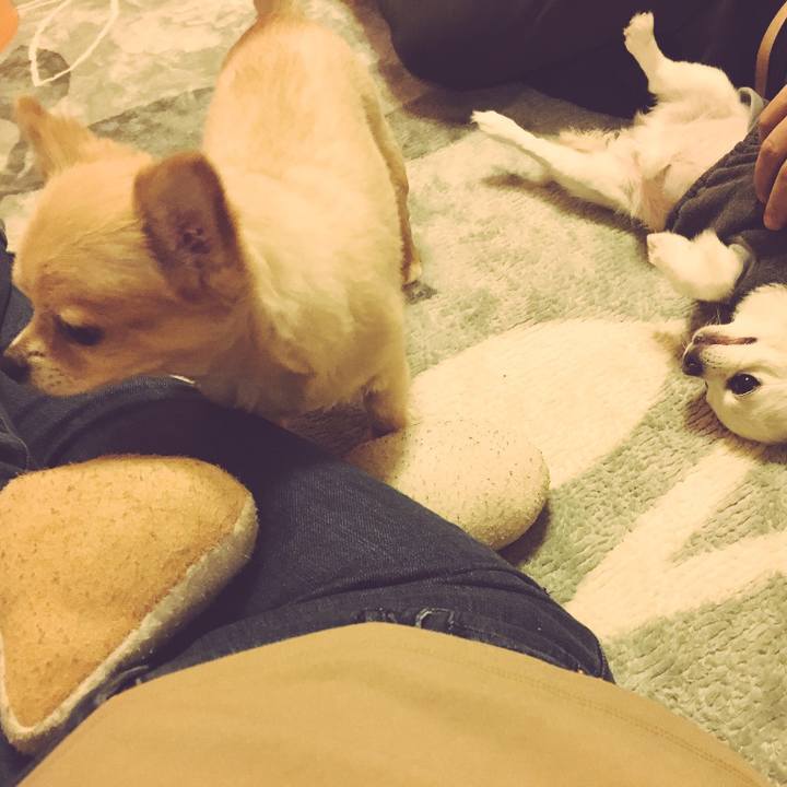 D8f90428 2bfe 46c3 a8e1 e1335744b824