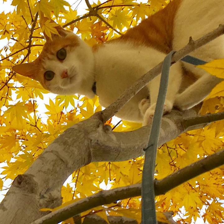 D8f94fe8 9a09 4e83 864e d03c6977a38f