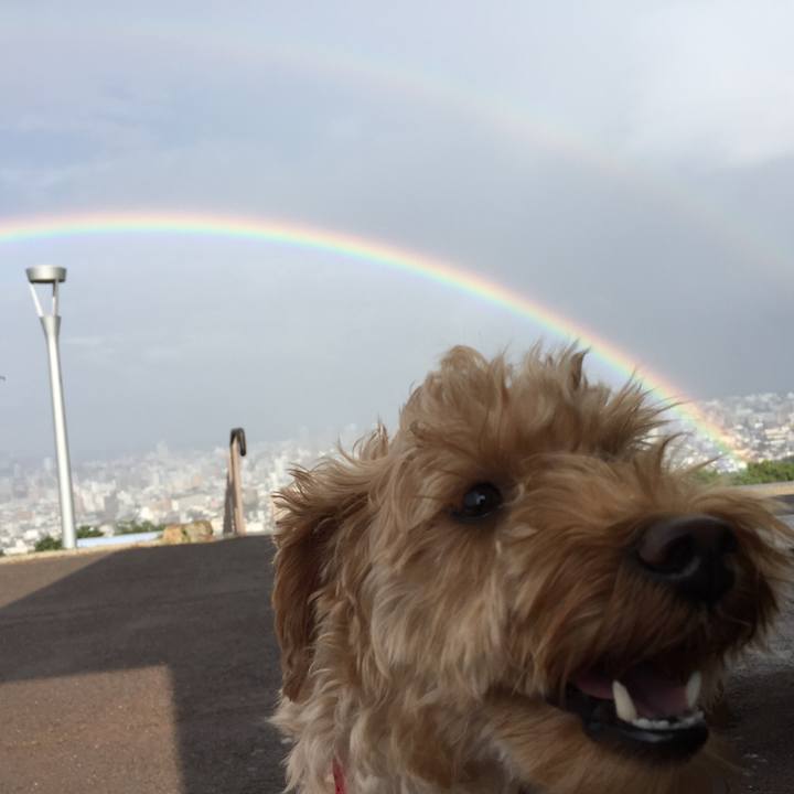 D8f95d71 849f 4b33 bd91 45add3547881