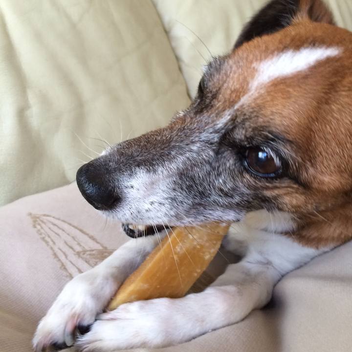 D8f9eb10 0ac7 452d 912a fe19c0ecf618