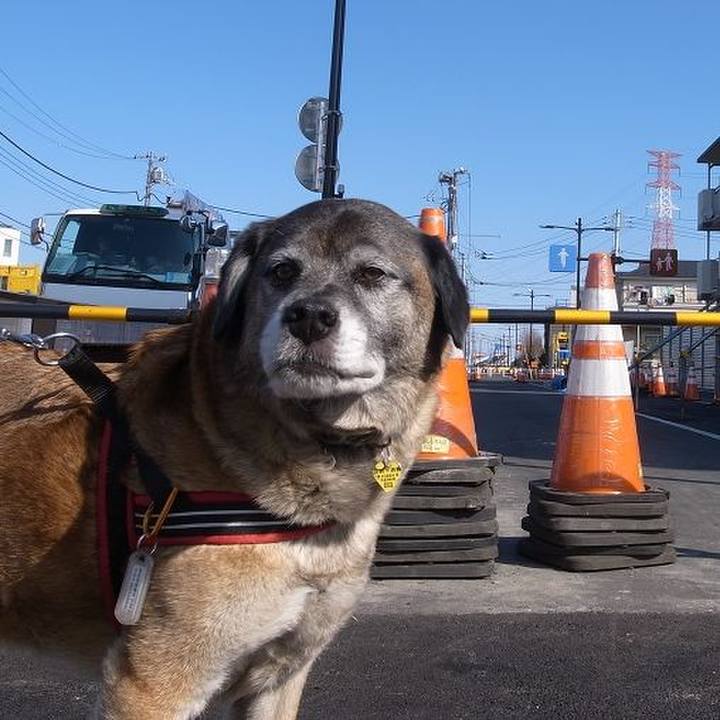 D8f9f3e0 8a61 4eeb a64f cc138924828f