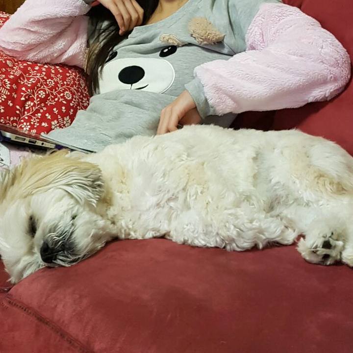 D8fa1acf e7b3 41ef a614 82f2011e0326