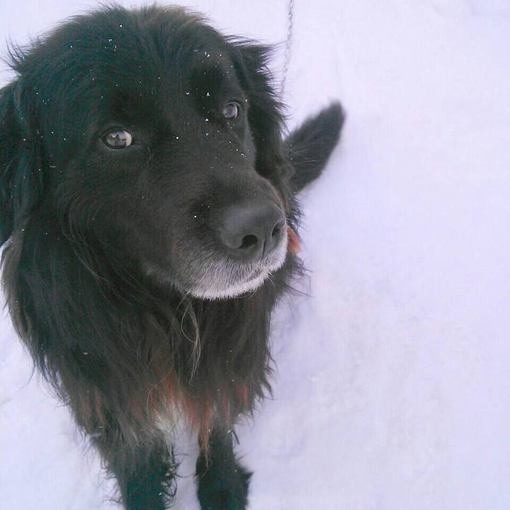 D8fa2d4f a8b1 4c4f a409 e1e0f3b24c52