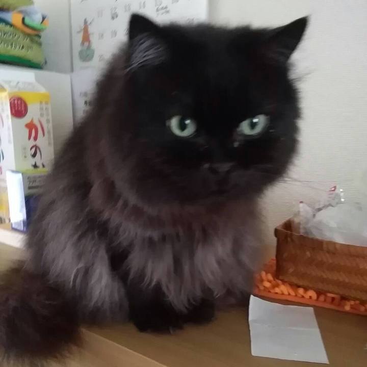 D8fab42a 8a94 4aec 81a5 1a58bf67854b