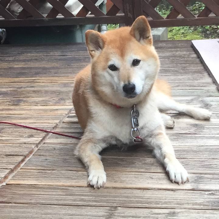 D8faede3 41a5 4603 af7a 194e94976dd7