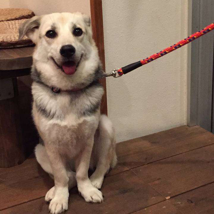 D8fb3bd0 1b7d 473d a3ce 9bc6ca6aef90