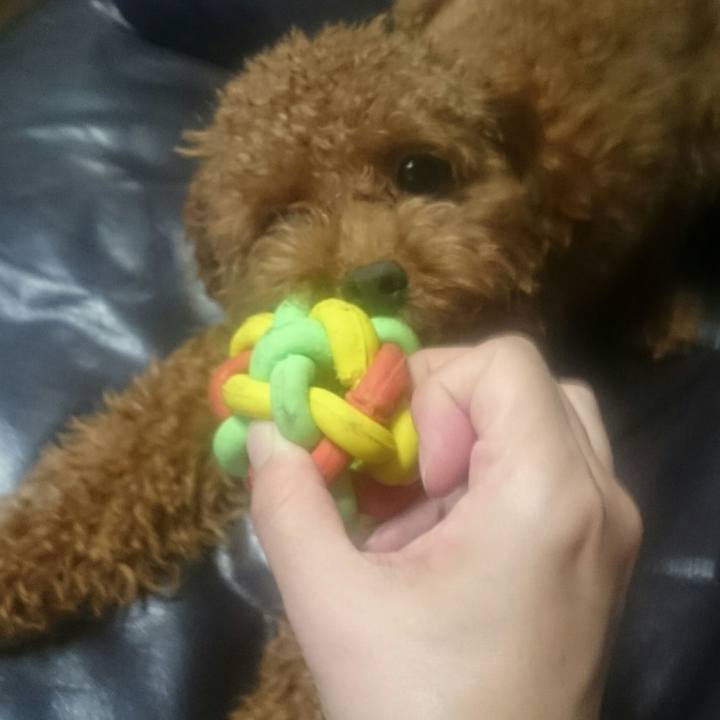 D8fc1f37 01c3 41d2 a32b 75b637d34ac1