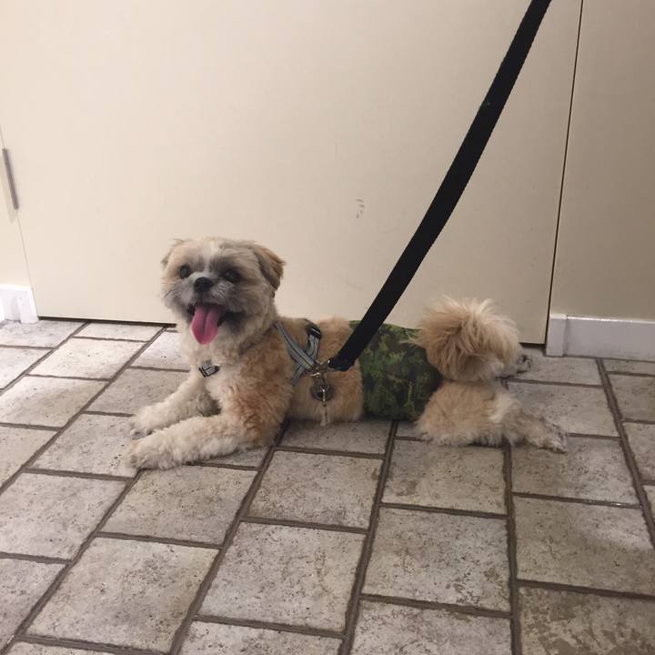 D8fc27d5 6258 4707 8d34 e4eefc11cf84