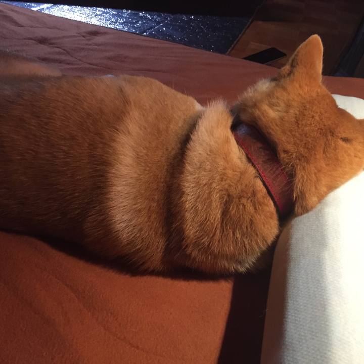 D8fc2a29 23e1 4d8f 9dd5 ff6ed7155a69