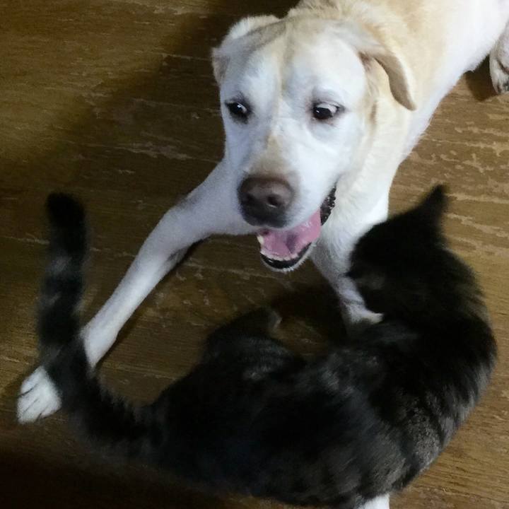 D8fd8de5 1b27 4455 8dd5 c343d79db84e