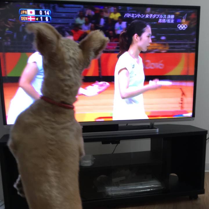 D8fdaaa6 e4aa 4f86 9d19 c7d54bf4209f