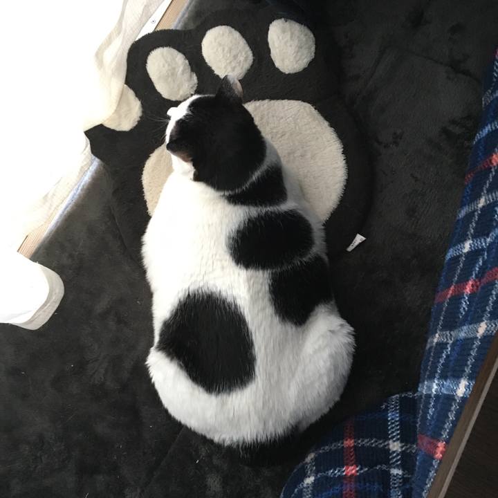 D8fdb172 4f9a 47b1 afc8 12aba67528b7