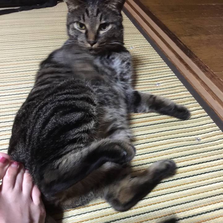 D8fdf11d 4848 4c5f ab6c 790e55f3306b