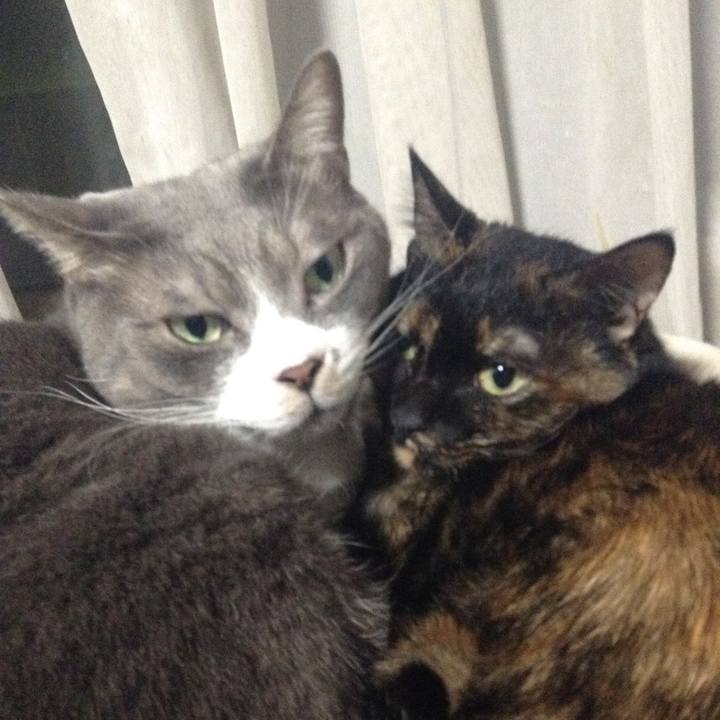 D8fe5f88 e216 49c6 b55d 407e4b2b658e