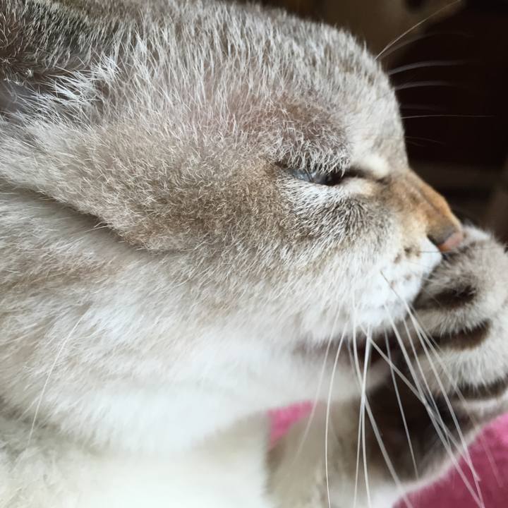 D8ff16b0 0a59 498b be0a 5ed80184e068