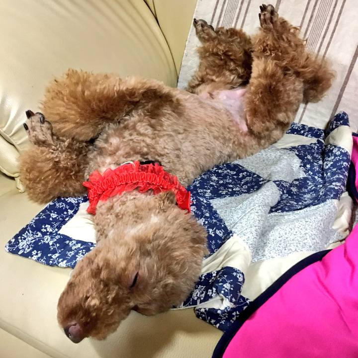 D9003b3f d987 4c95 ba36 3bcb8574071b