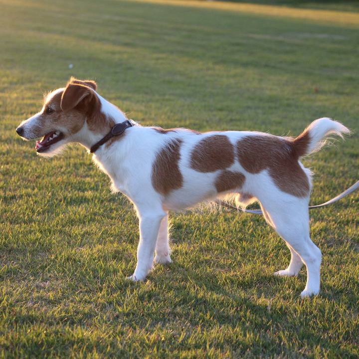 D9004fa6 4ed8 4d82 ad89 1e1c2bbc4205