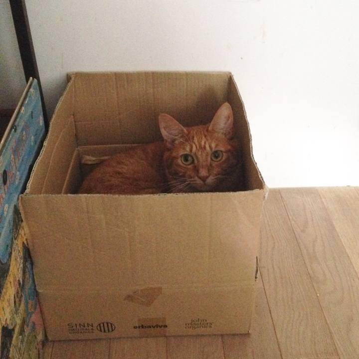 D9006ccf f700 4c01 8241 cb71f93886dd