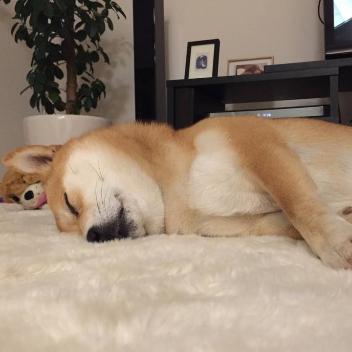 D900bdda 6a1c 431b ac09 2b8def64d5c1