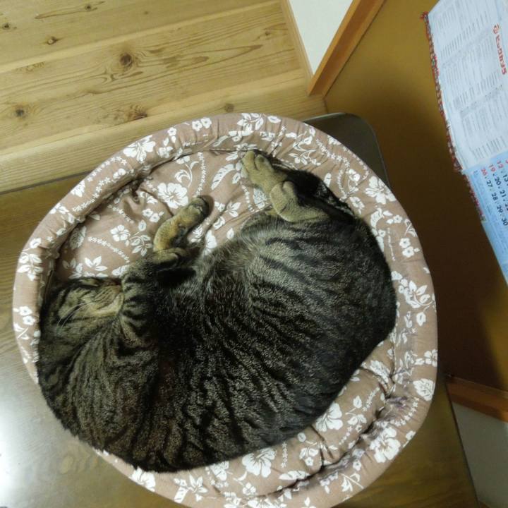 D900f93a 5502 43a6 be25 d6665dbfa6d8