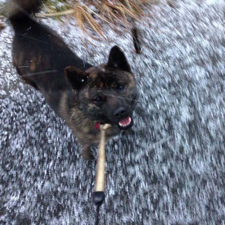 D9018d14 9f54 4726 a81e 159aa78d8ebe