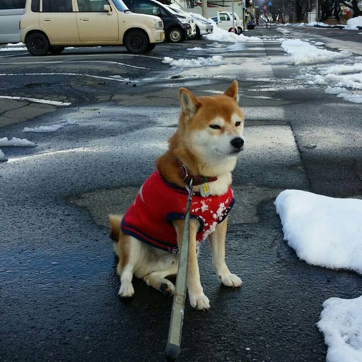 D901a601 694c 42f1 a27f 5841f73daa85