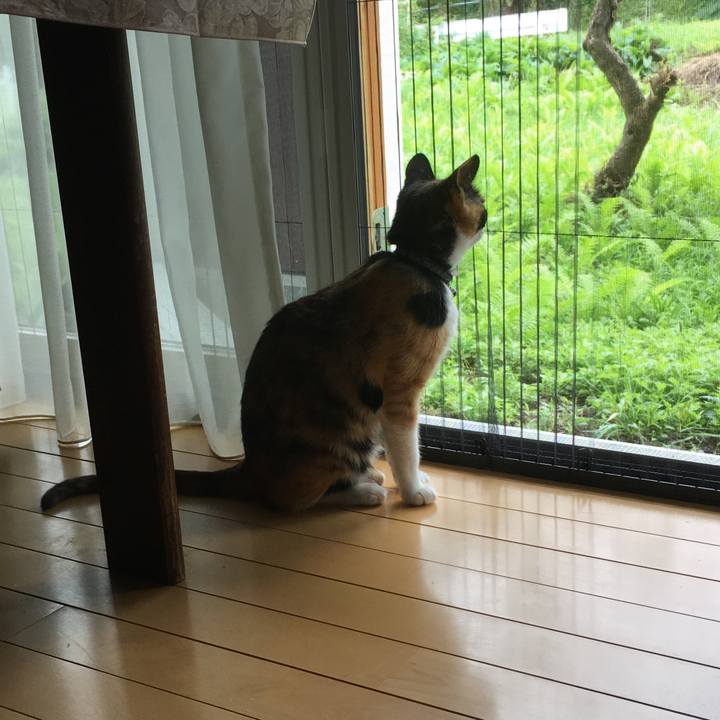 D901b829 d59d 444a af2d fe1b6c43cabe