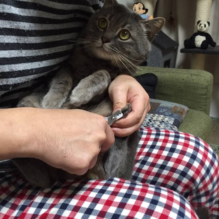 D901e96a 70fe 4eec b876 e5f48f22f728