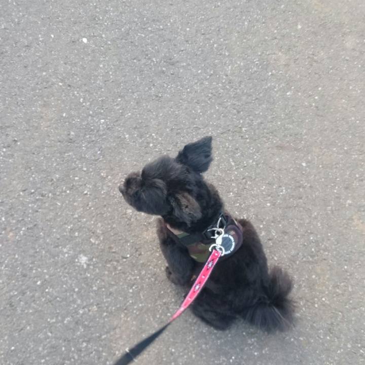 D9020f97 bda9 4caa ba67 d78cf48fcd3b