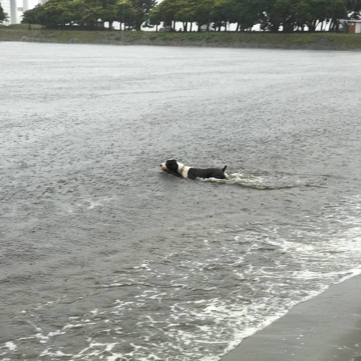 D90273dc 758a 4452 a26f f6783e484265