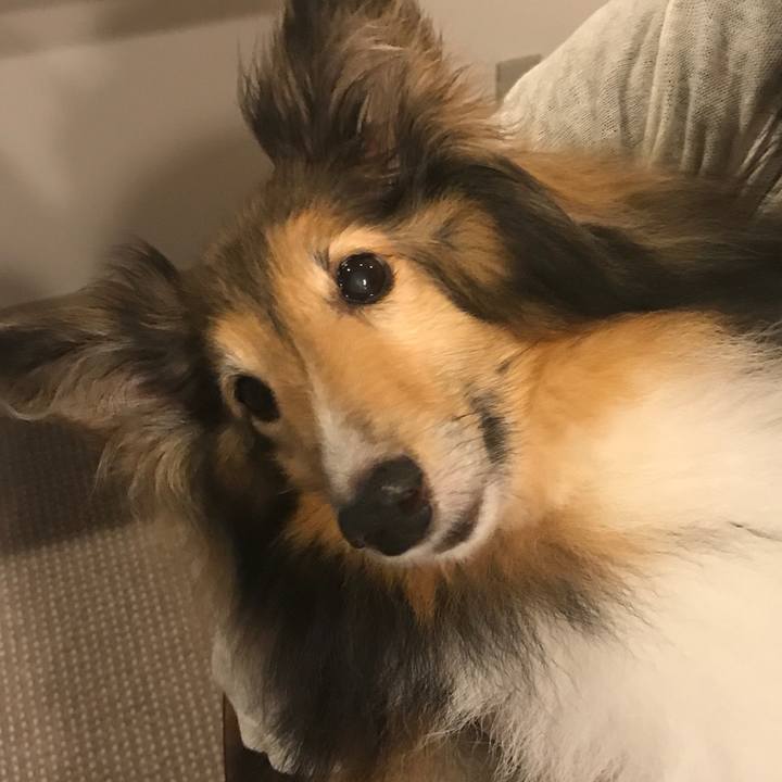 D903289b 71e5 4f2c 9fd5 19c175b373ac