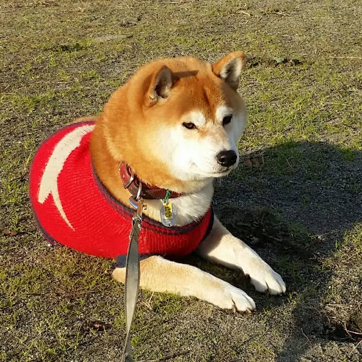 D90366dd ef96 419d ab47 75bdf37dfd4a