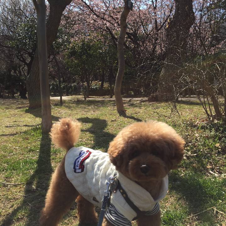 D903b160 abdf 43c5 b08a fdb21526f309