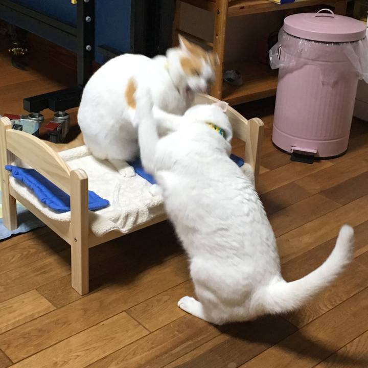 D903f663 8b3c 45d3 a7f6 b9147260d2b7