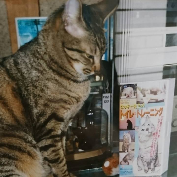 D904ca3e e2b5 498a bf4d 7cb684b00154