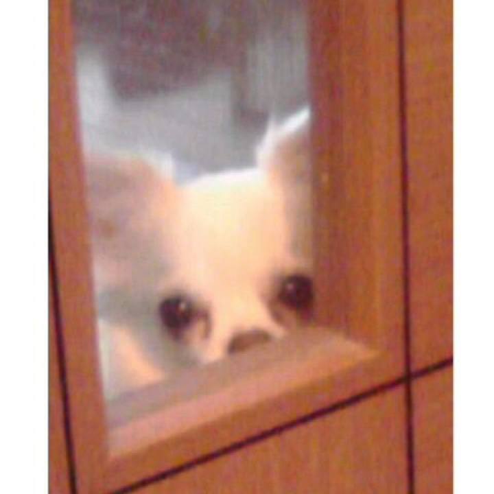 D905e7ba 7bc7 489a 9130 cd3e6d6fb9e2