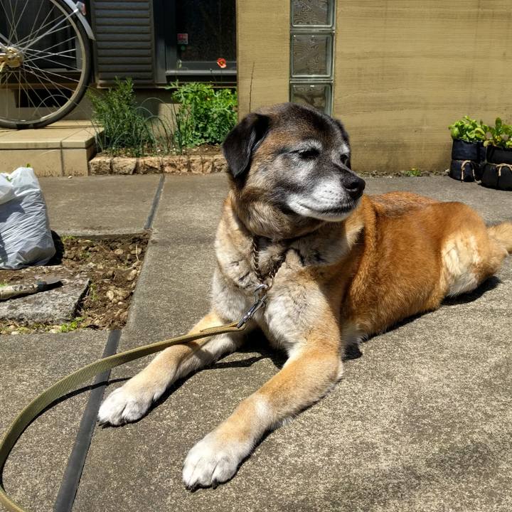 D90677db c602 49bb 93f2 d276864e0096