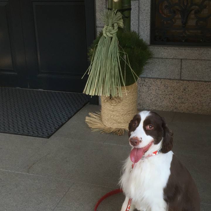 D9070f44 a1fe 45f6 aaa4 69b5c1e482ab