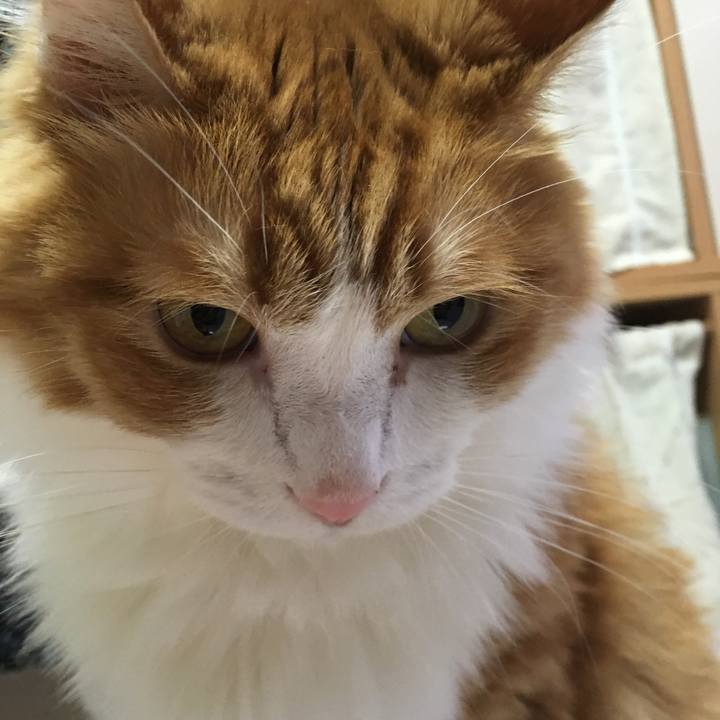 D9072acc 079b 40bd a1c2 d21c185a7d8a