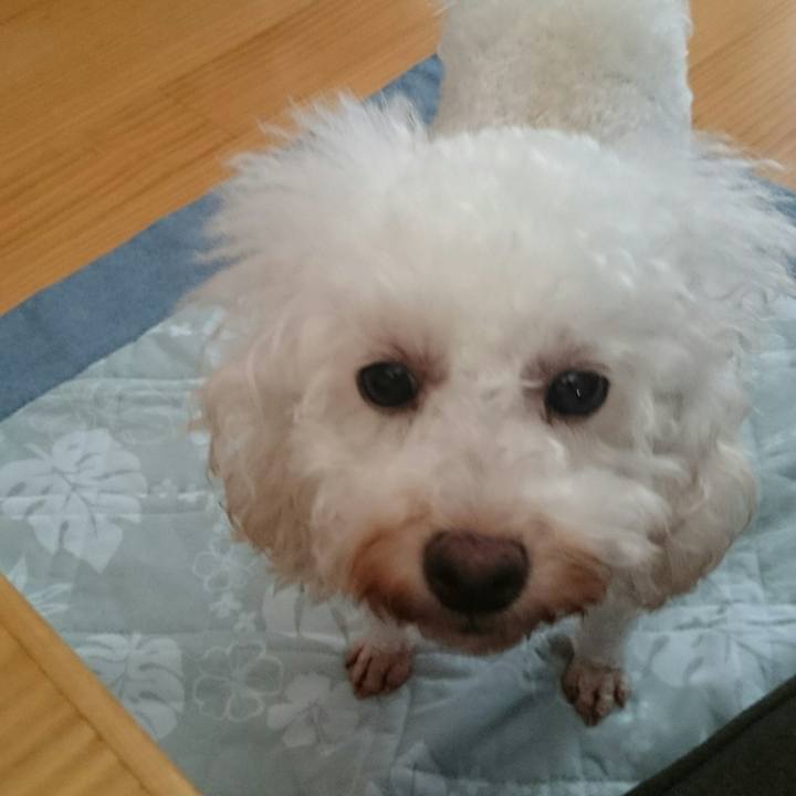 D90730fd 443a 49de 9d85 f21c75069b38