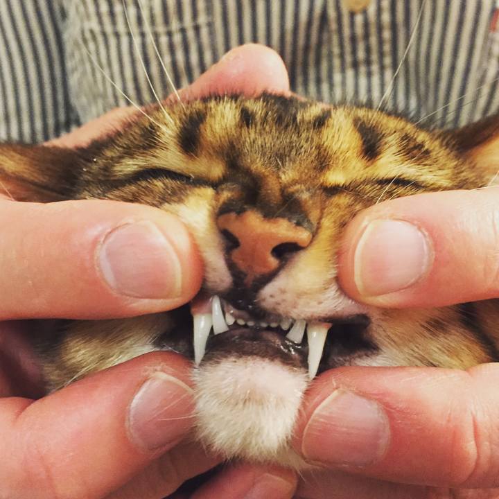 D9074672 f1b6 4951 b946 3248d2447872