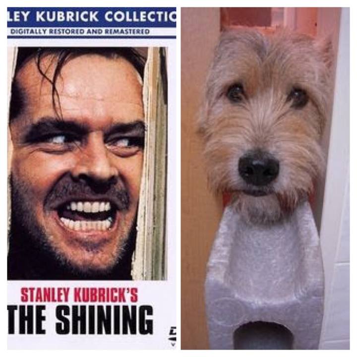 D90789d0 ebce 4650 aa41 8c09c532769d