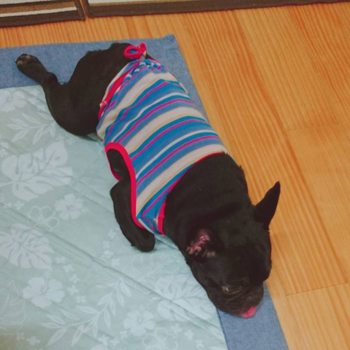 D9079cd6 2145 4d00 bc64 8ce020ad7644