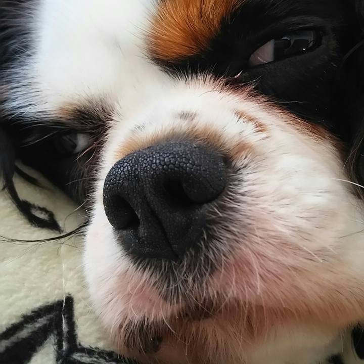 D907bb97 67de 4e69 9384 c89d2441b90d