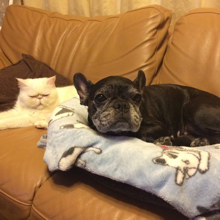 D907ea0a 63e2 4b62 863e dcfdfac52a57