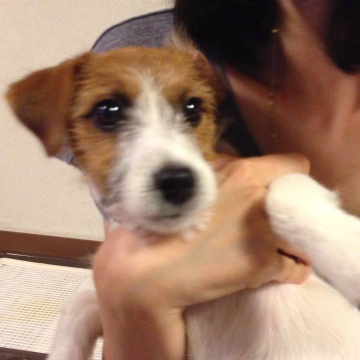 D90864c0 14af 4353 8f3f e64a0806cc0f