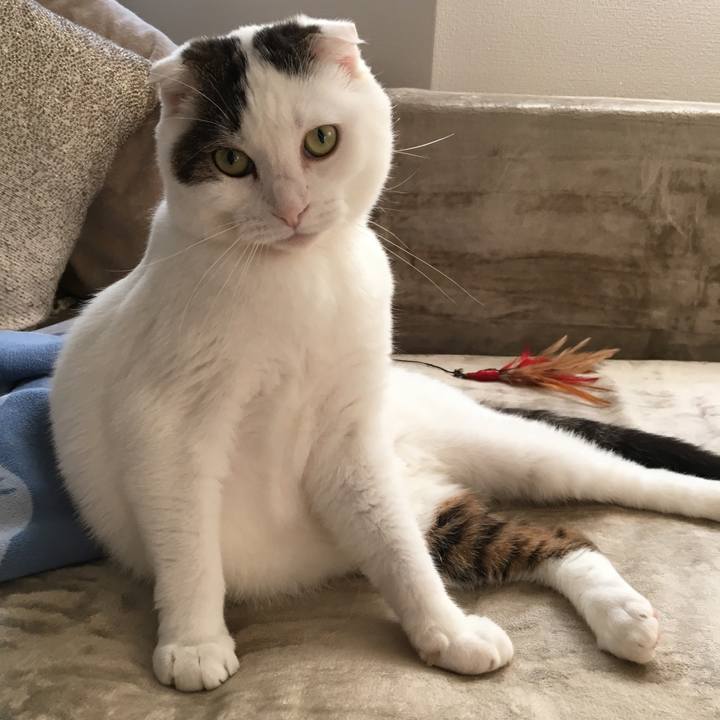 D9092a0b a049 402a a191 e4c2ae108473