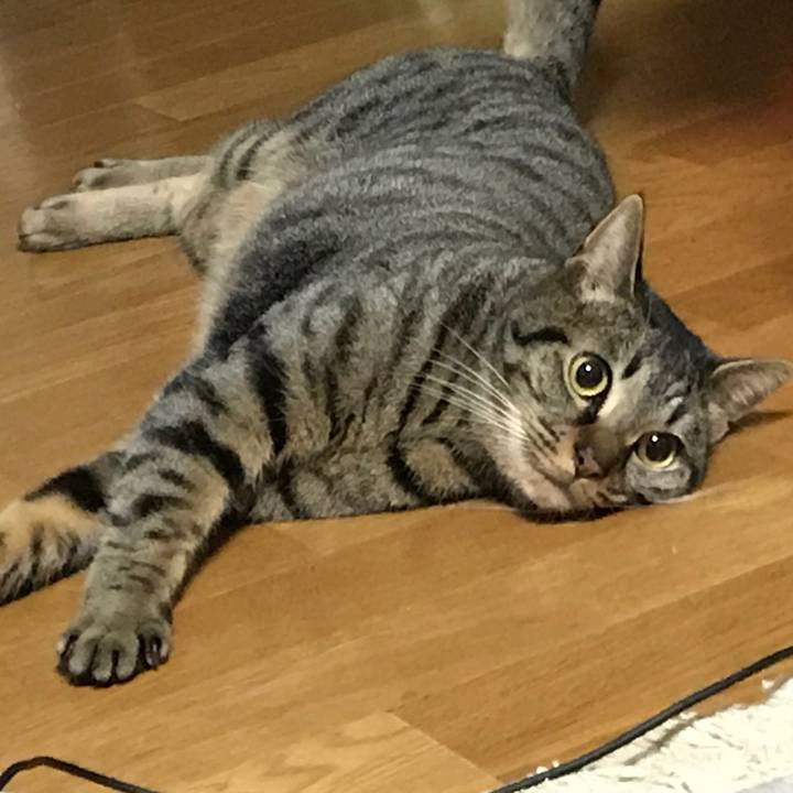 D9099400 7966 43fd ba11 49a06658c924